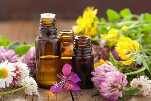 Alternative Medicine Herbs